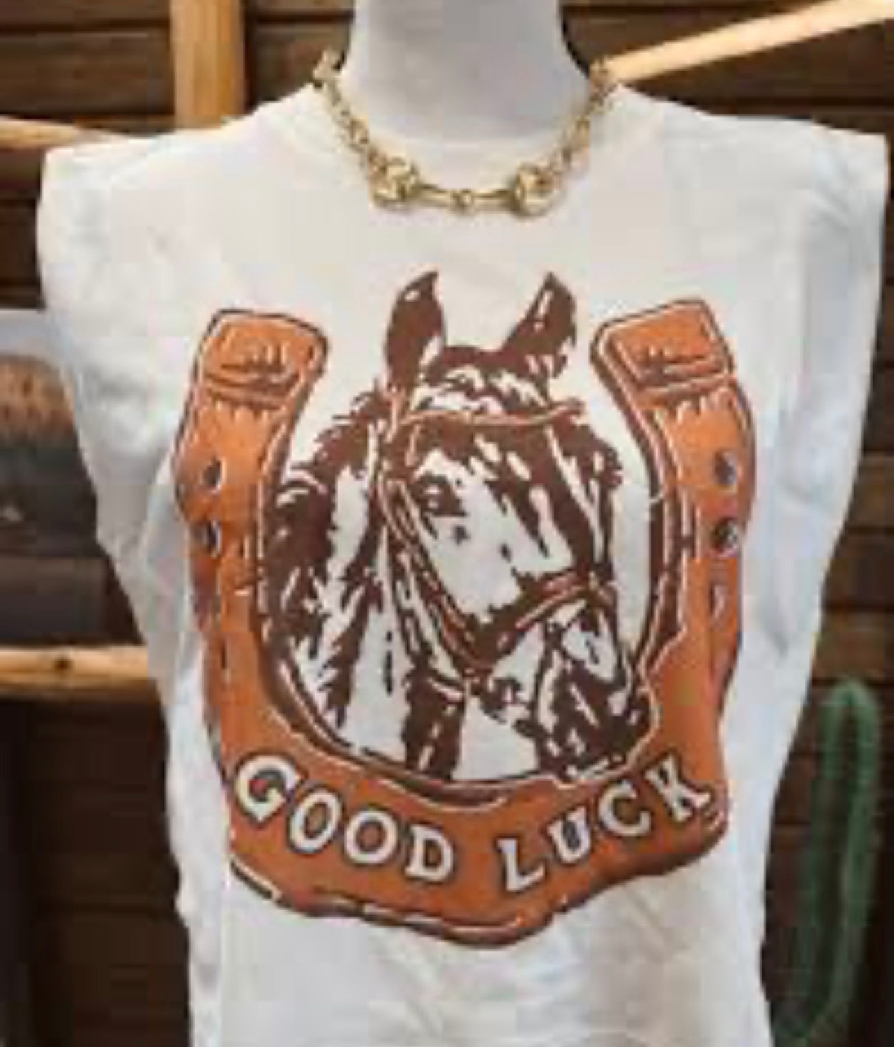 Good Luck Horseshoe Box Tank