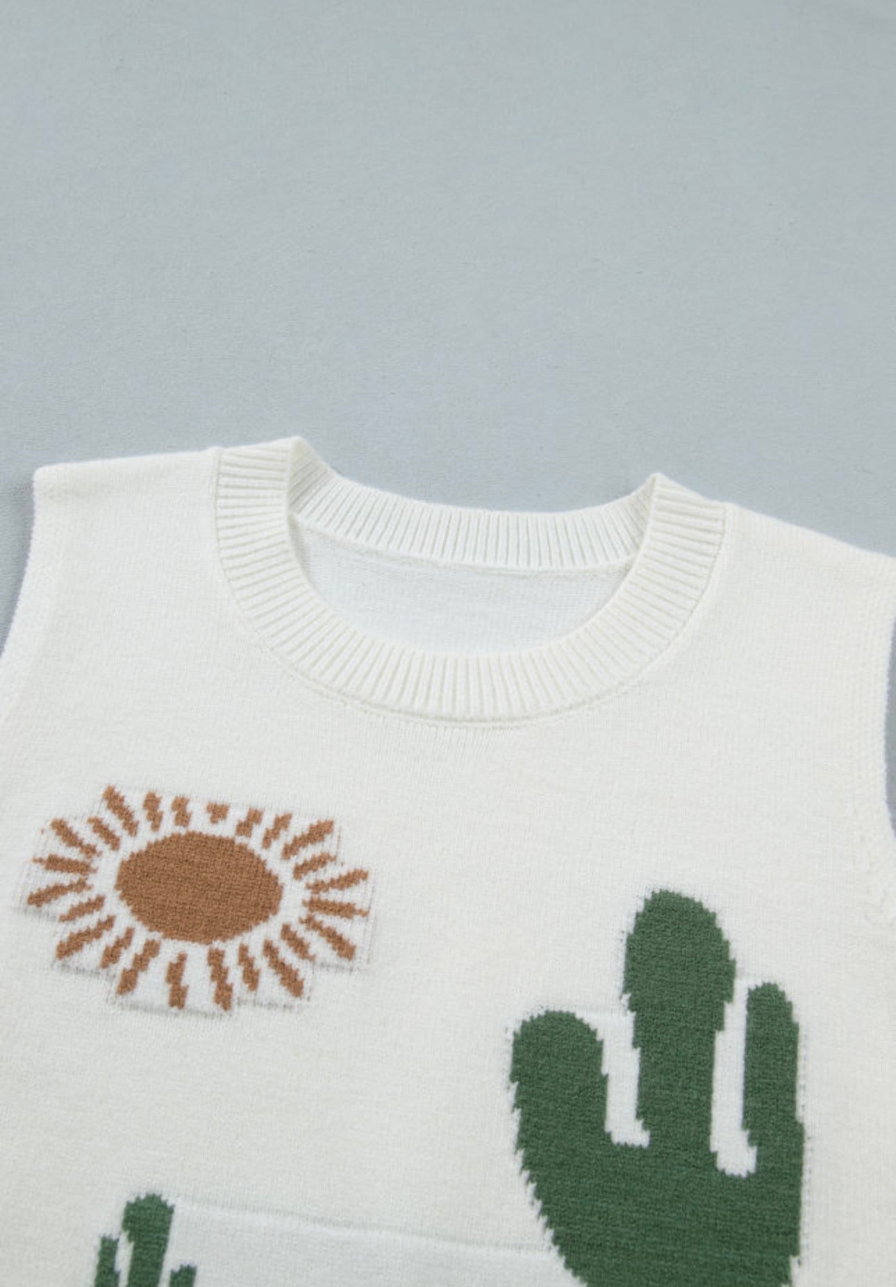 Multicolor Cactus Western Oasis Loose Sweater Vest
